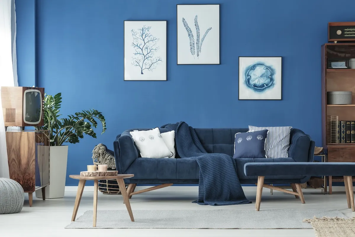 Living room with deep blue walls and framed botanical prints